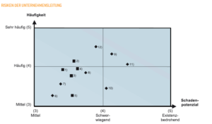 Risiken der Unternehmensleitung 1