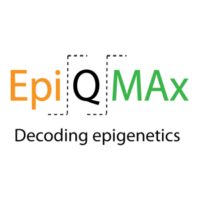 http://EpiQMAx%20GmbH