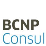 BCNP Consultants