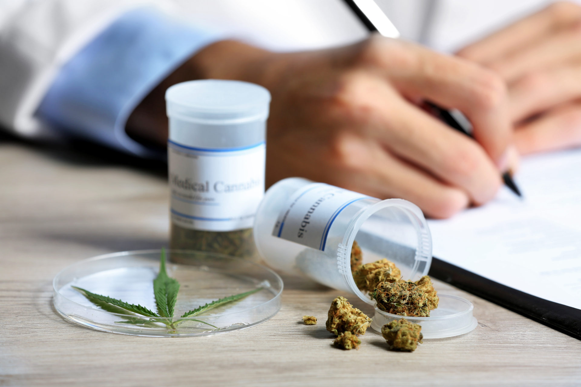 Medizinisches Cannabis und Cannabidiol (CBD) GoingPublic.de