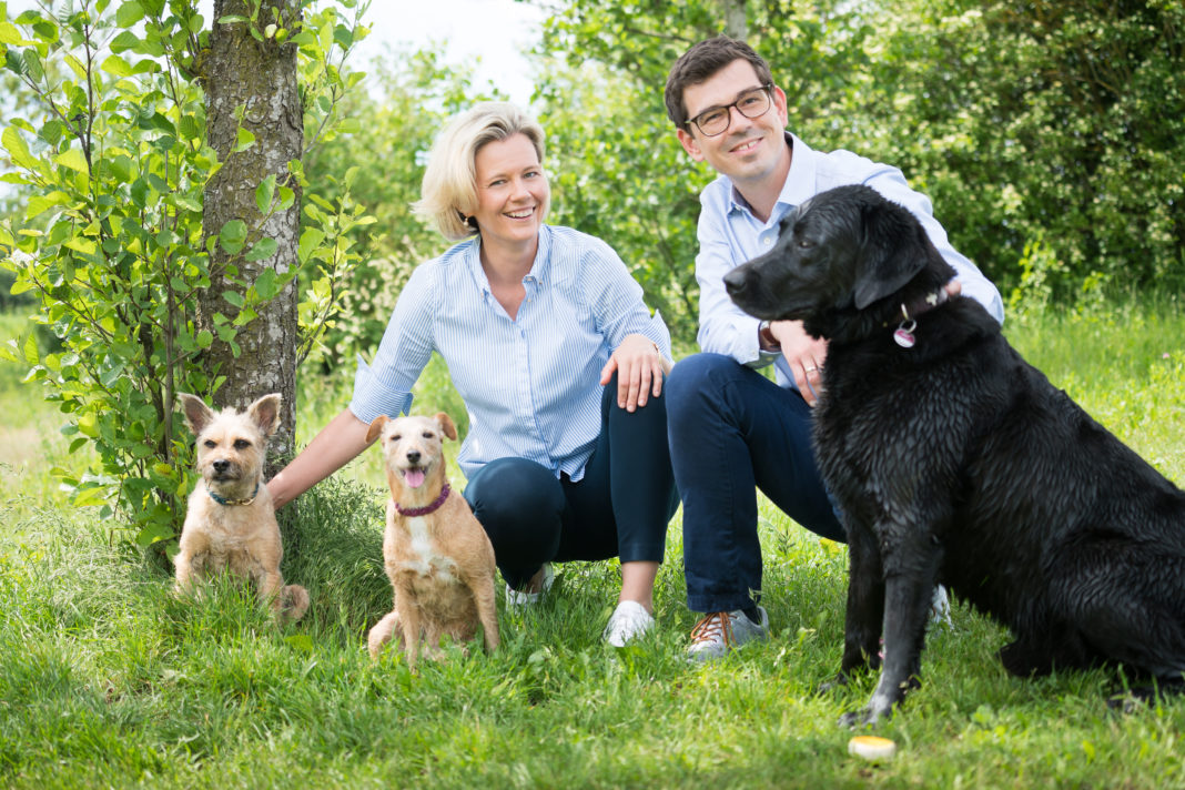 Antikörpertherapie bei Hunden