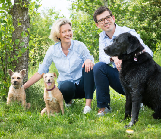 Antikörpertherapie bei Hunden