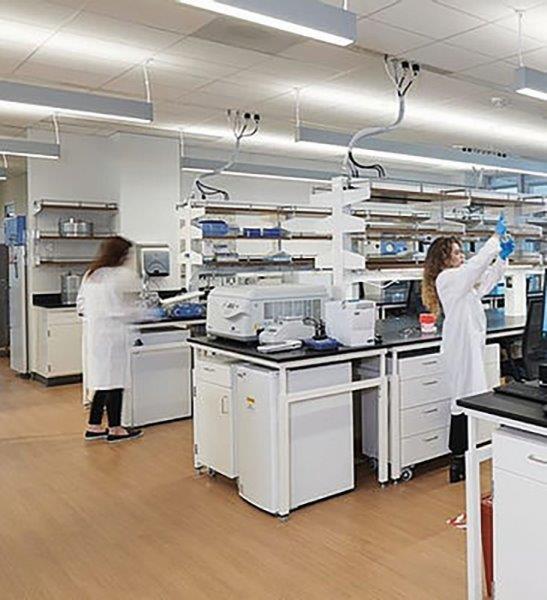BioLabs Global