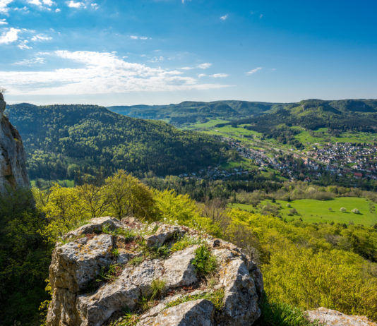 Zukunft Biotechnologieproduktion – statt Automobil?