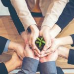 https://stock.adobe.com/de/images/cropped-hands-of-colleagues-holding-plant/410963127