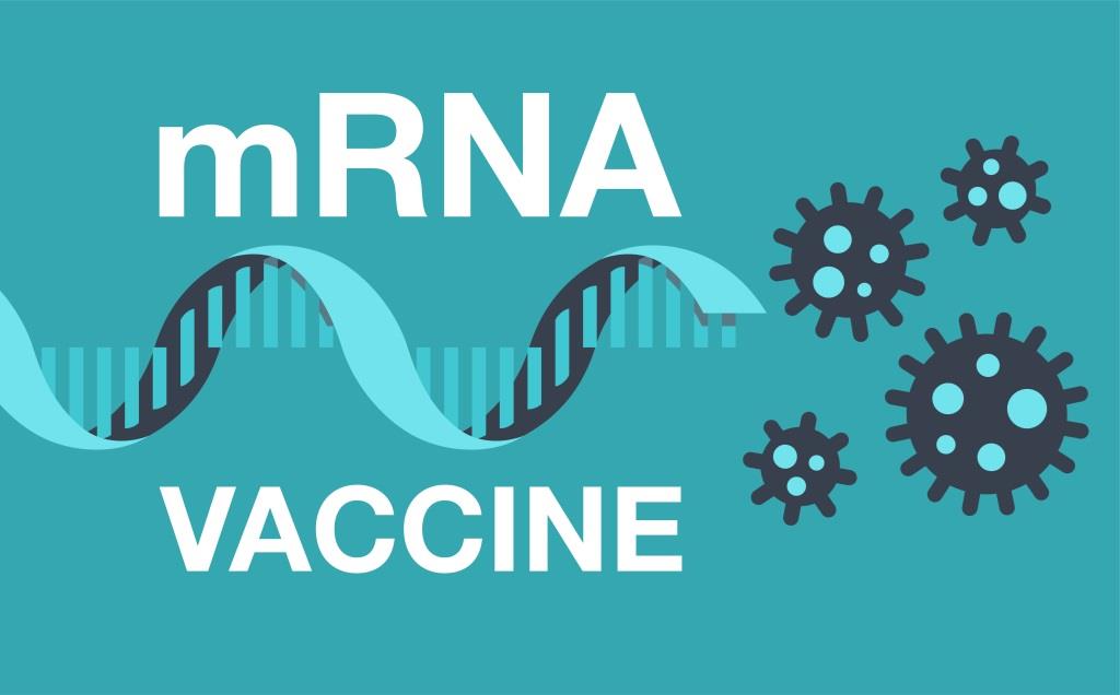 Mobile mRNA-Therapeutika: Pantherna Therapeutics erhält Finanzierung
