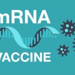 mRNA-basierte Therapeutika: Ethris erhält 26,3 Mio. USD in Serie B-Finanzierung