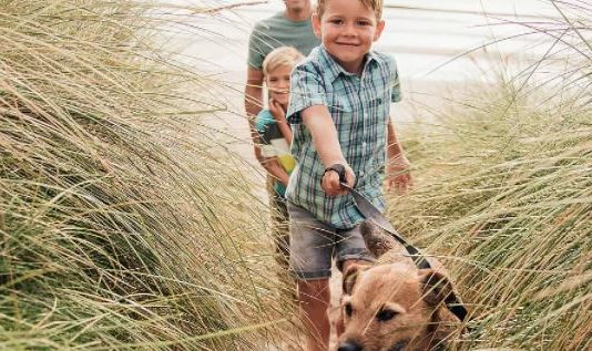 Deutsche Familienversicherung steigert Beiträge um 35%
