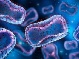 Fighting pathogenic infections
