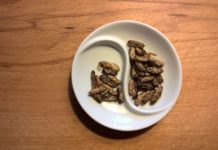 Symbolbild Insekten als Nahrungsmittel