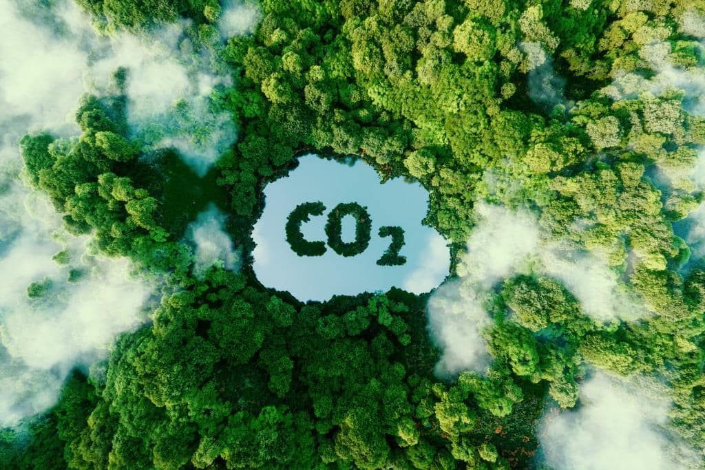 Die Geschichte des CO2 neu schreiben