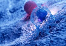 Evotec und Dewpoint Therapeutics gehen strategische Partnerschaft im Bereich Onkologie ein