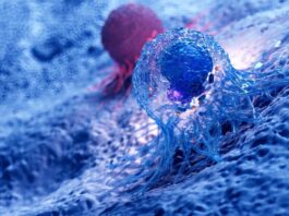 Evotec und Dewpoint Therapeutics gehen strategische Partnerschaft im Bereich Onkologie ein