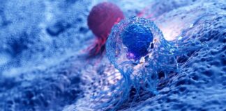 Evotec und Dewpoint Therapeutics gehen strategische Partnerschaft im Bereich Onkologie ein