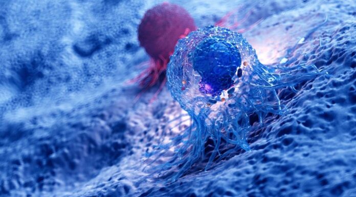 Evotec: Schwache Q3-Zahlen belasten. Börsenwert nur noch 1 Mrd. EUR Evotec und Dewpoint Therapeutics gehen strategische Partnerschaft im Bereich Onkologie ein