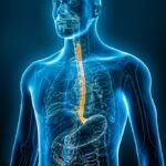 EsoCap meldet positive Topline-Ergebnisse der ACESO-Phase-II-Studie ESO-101 bei eosinophiler Ösophagitis