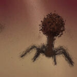 Illustration einer Phage. Copyright: Invitris GmbH