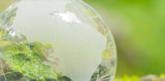 Das Bild zeigt einen transparenten Globus mit eingeätzten Kontinenten, insbesondere Nord- und Südamerika. Der Globus steht vor einem lebhaften grünen Hintergrund, der ein Natur- oder Umweltthema vermittelt.