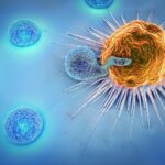 Medigene und WuXi Biologics schließen Forschungskooperation für Off-the-Shelf TCR-gesteuerte T-Zell-Engager ab