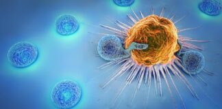 Medigene und WuXi Biologics schließen Forschungskooperation für Off-the-Shelf TCR-gesteuerte T-Zell-Engager ab