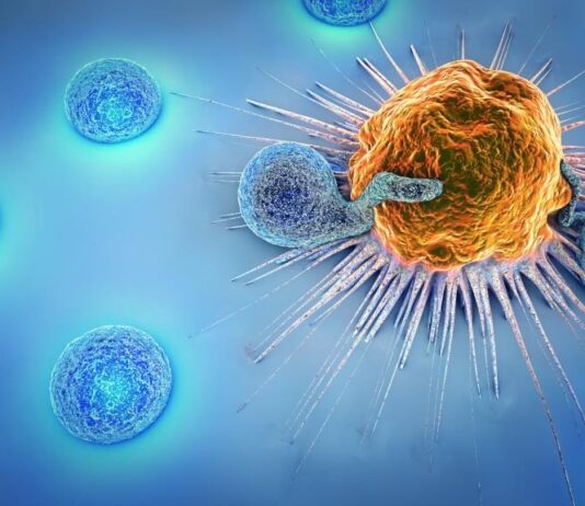 Medigene und WuXi Biologics schließen Forschungskooperation für Off-the-Shelf TCR-gesteuerte T-Zell-Engager ab