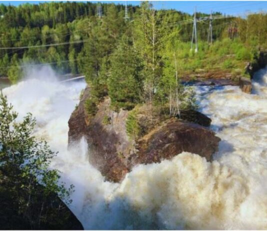 Deutsche Wasserkraft AG: „Mit der DWK vereinfachen wir das Investment in Wasserkraft“ Das Bild zeigt einen kraftvollen Wasserfall, der stark über eine große, felsige Formation mit Bäumen stürzt. Umgeben von dichten grünen Wäldern und einem klaren Himmel, sind im Hintergrund auch Stromleitungen und Versorgungsinfrastruktur sichtbar, was eine Mischung aus Natur und menschlichem Einfluss zeigt.