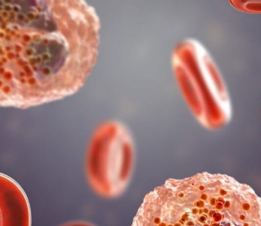 Illustration der ARTICE® Cells. Copyright: ARTCLINE GmbH