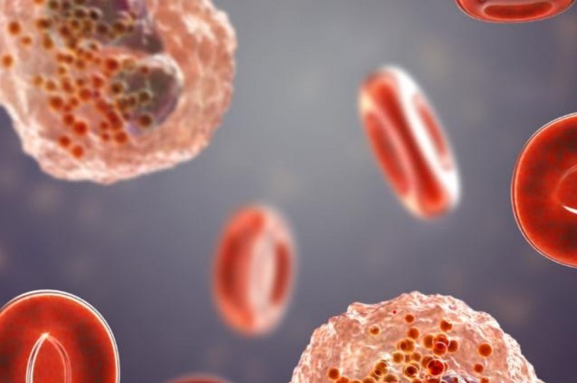 Illustration der ARTICE® Cells. Copyright: ARTCLINE GmbH