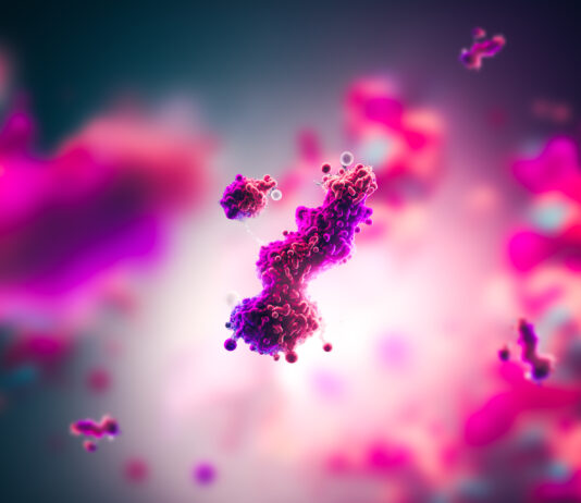 Symbolbild: Molecular model of antibody taking part in immune defense. Copyright: catalin - stock.adobe.com