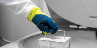 Symbolbild: Container with liquid nitrogen, injecting quality into biobanks, molecular genetic, dna banks, cord blood stem cell, embryonal cells in liquid nitrogen. bio storage. Copyright: Medical Works - stock.adobe.com