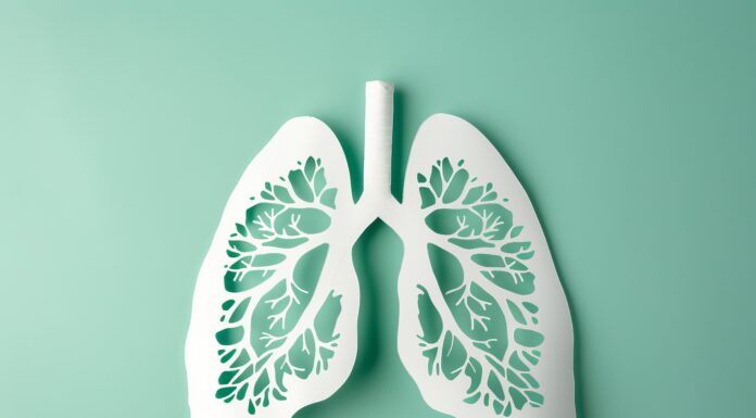 Paper lungs with intricate design on teal background representing respiratory health concept. Copyright: InfiniteStudio - stock.adobe.com