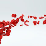 Red blood cells flowing through artery. Copyright: GLandStudio - stock.adobe.com