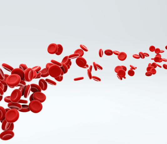 Red blood cells flowing through artery. Copyright: GLandStudio - stock.adobe.com