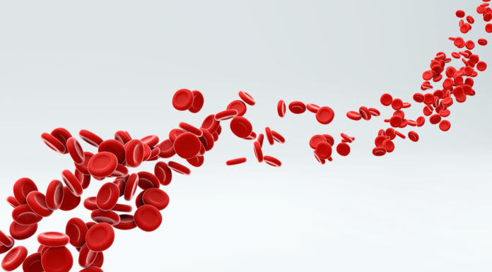 Red blood cells flowing through artery. Copyright: GLandStudio - stock.adobe.com