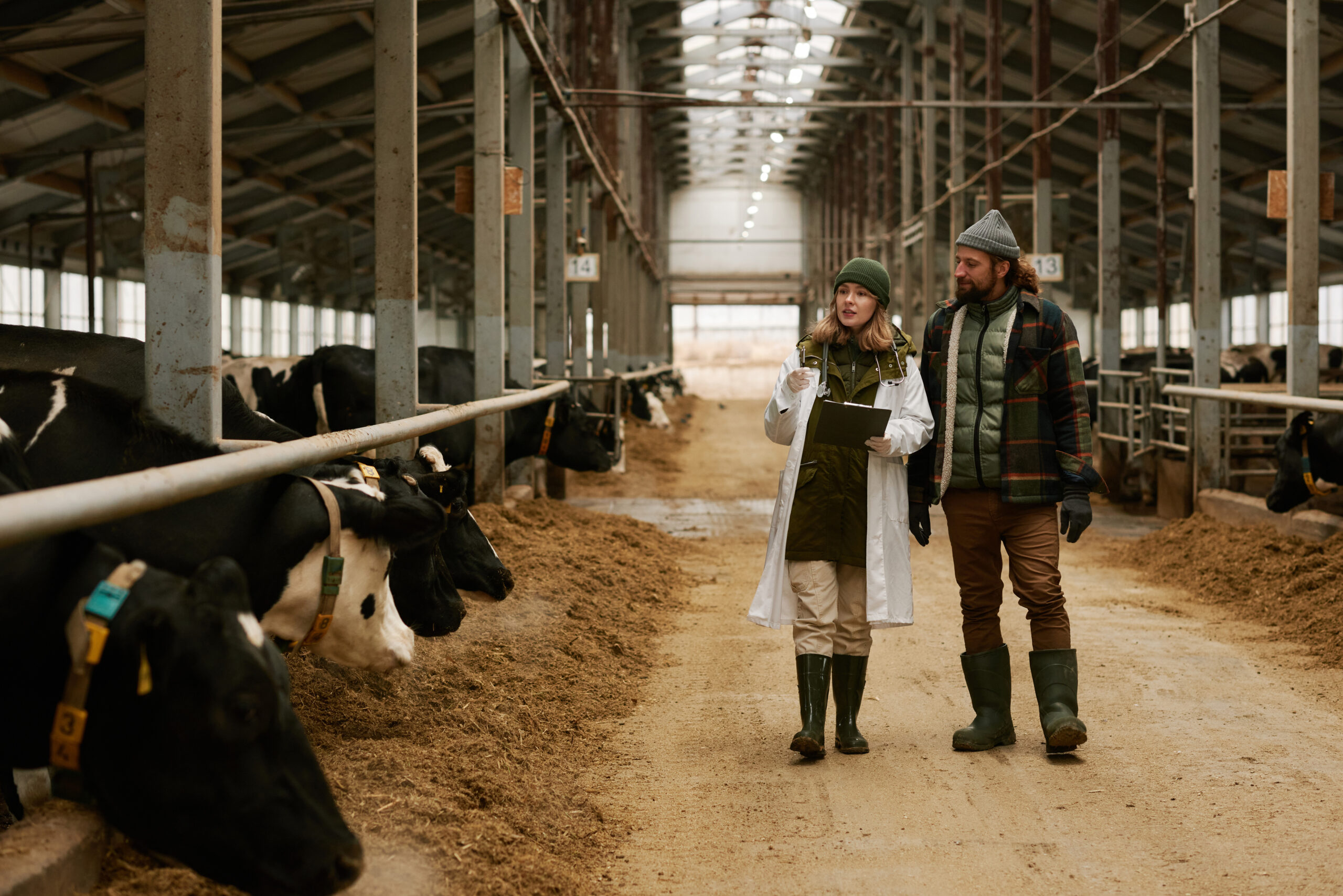 Case-Study-Verovaccines-Innovative-Impfstoffe-gegen-Tierseuchen