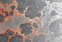 Selective color photography of copper crystals forming intricate patterns the background in grayscale. Copyright: Auon - stock.adobe.com