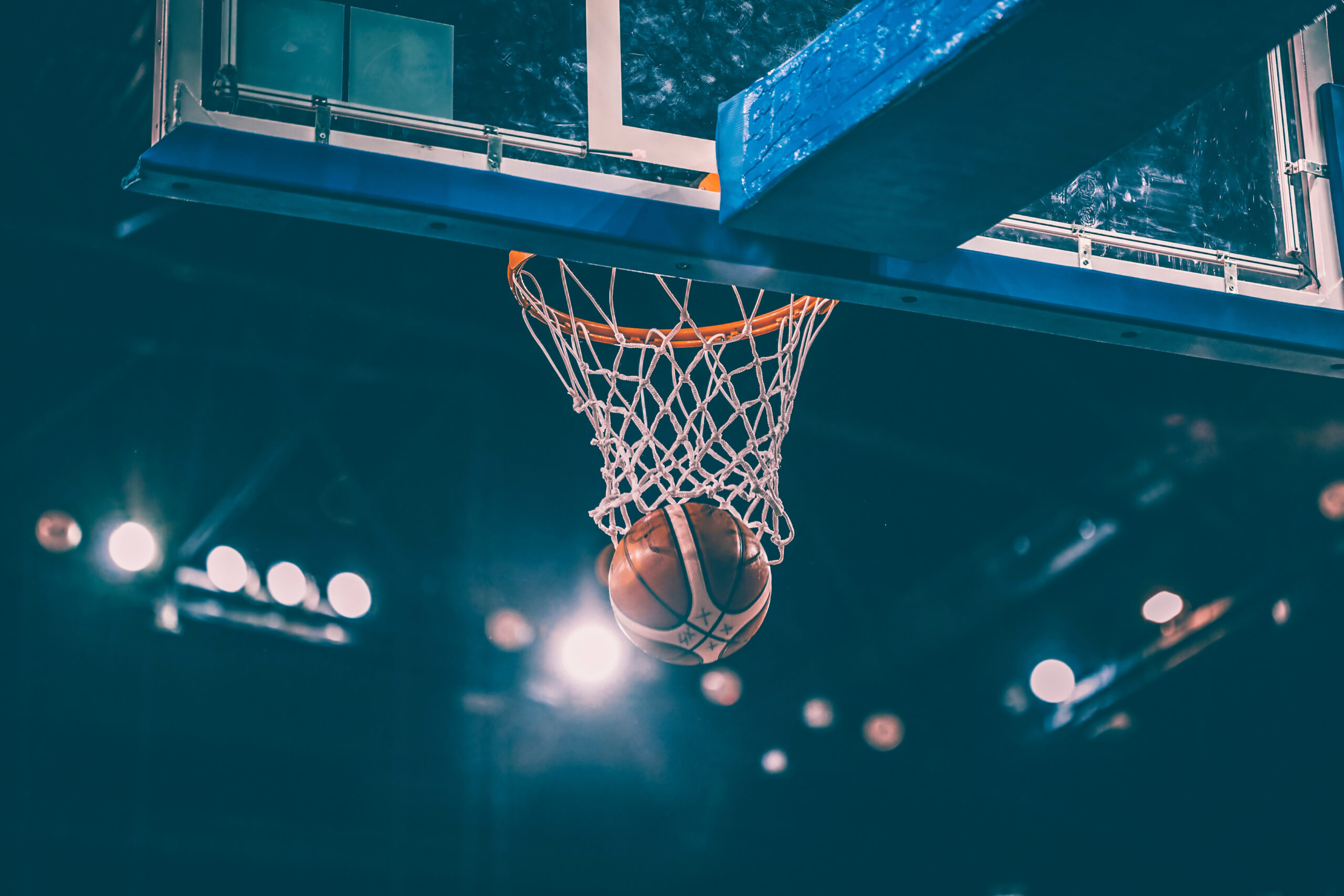 Biotech-Basket-h-ngt-den-Gesamtmarkt-ab