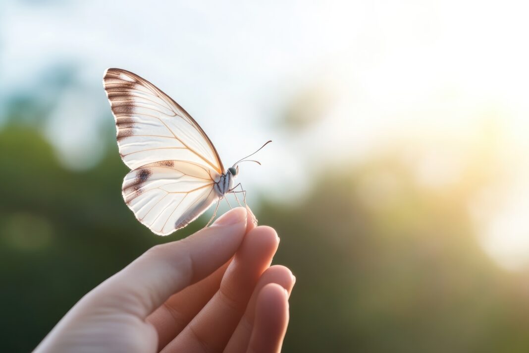 Symbolbild. Close-up of hand holding delicate butterfly symbolizing hope and transformation against soft blurred background. Copyright: Andrei - stock.adobe.com
