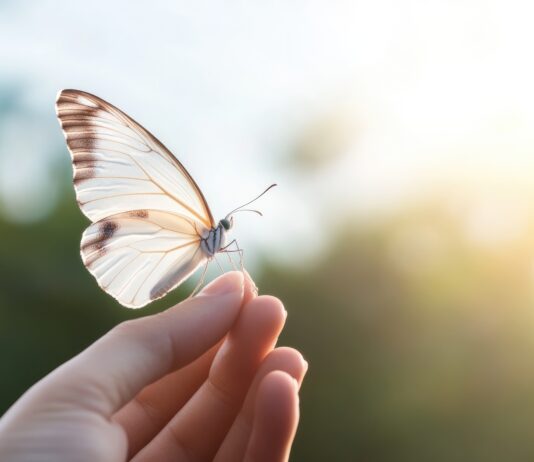 Symbolbild. Close-up of hand holding delicate butterfly symbolizing hope and transformation against soft blurred background. Copyright: Andrei - stock.adobe.com