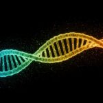 Symbolbild. A rainbowcolored DNA double helix on a black background with scattered particles. Copyright: luminara - stock.adobe.com