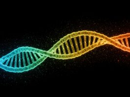 Symbolbild. A rainbowcolored DNA double helix on a black background with scattered particles. Copyright: luminara - stock.adobe.com