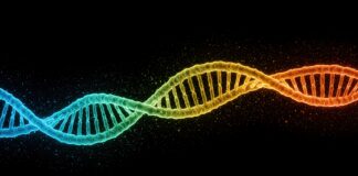 Symbolbild. A rainbowcolored DNA double helix on a black background with scattered particles. Copyright: luminara - stock.adobe.com