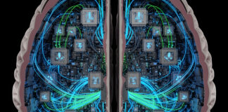 Symbolbild. Digital Consciousness: A Technological Exploration of Artificial Neural Networks and Brain-Computer Interfaces, Depicting the Convergence of Biology and Future Engineering, AI Innovations. Copyright: Rumah - stock.adobe.com