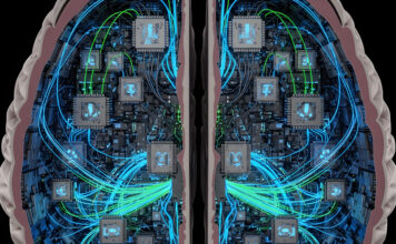 Symbolbild. Digital Consciousness: A Technological Exploration of Artificial Neural Networks and Brain-Computer Interfaces, Depicting the Convergence of Biology and Future Engineering, AI Innovations. Copyright: Rumah - stock.adobe.com