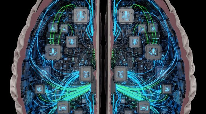 Brain-Computer Interfaces 2025 Symbolbild. Digital Consciousness: A Technological Exploration of Artificial Neural Networks and Brain-Computer Interfaces, Depicting the Convergence of Biology and Future Engineering, AI Innovations. Copyright: Rumah - stock.adobe.com