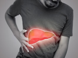 Symbolbild. The illustration of liver is on the man's body against gray background. A men with hepatitis and fatty liver problem. Copyright: eddows - stock.adobe.com