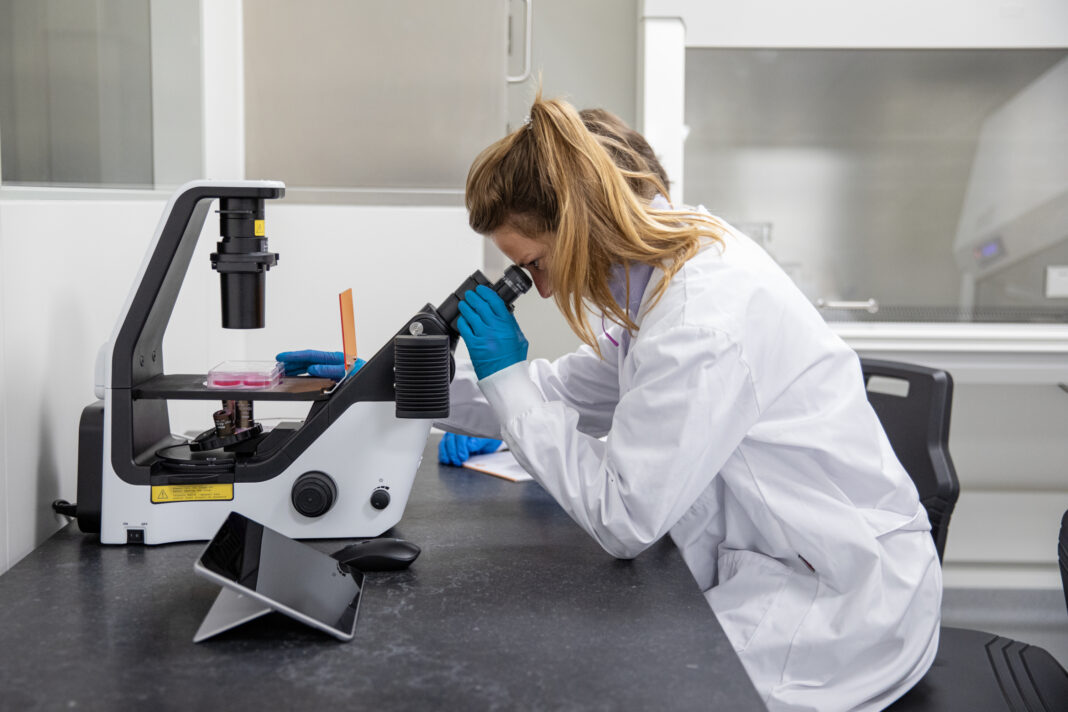 Zellkultur-Mikroskop. © PL BioScience GmbH