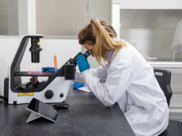 Zellkultur-Mikroskop. © PL BioScience GmbH