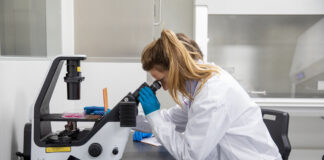 Zellkultur-Mikroskop. © PL BioScience GmbH