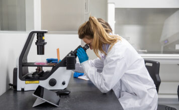 Zellkultur-Mikroskop. © PL BioScience GmbH